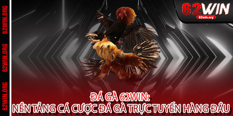 Đá Gà 62WIN - Đẳng cấp chiến binh, thắng lớn rực lửa 2 Đá Gà 62WIN: Nền Tảng Cá Cược Đá Gà Trực Tuyến Hàng Đầu